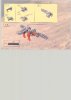 Building Instructions - LEGO - 10023 - BIONICLE: Page 32