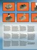 Building Instructions - LEGO - 10199 - Winter Toy Shop: Page 2