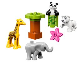 10904 - Baby Animals