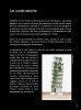 Building Instructions - LEGO - Architecture - 21015 - The Leaning Tower of Pisa: Page 7