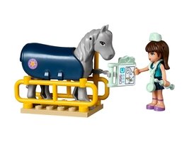 41125 - Horse Vet Trailer