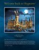 Building Instructions - LEGO - 71043 - Hogwarts™ Castle: Page 3