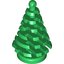 SPRUCE TREE, SMALL